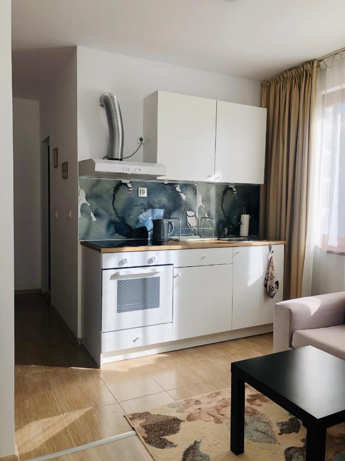 Temerso Studio-Apartment Bansko Ngoại thất bức ảnh